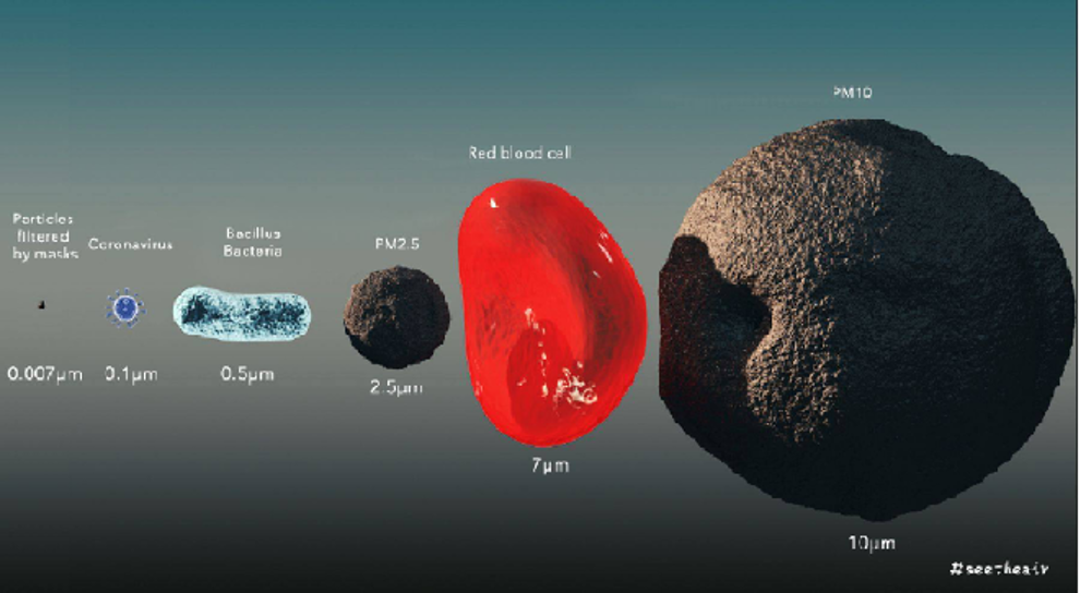 Infographic showing the relative sizes of microscopic matter.
